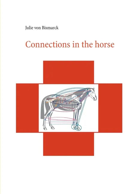 Connections in the horse - Paperback
