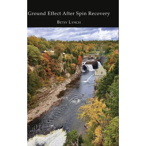 Ground Effect After Spin Recovery - Hardcover