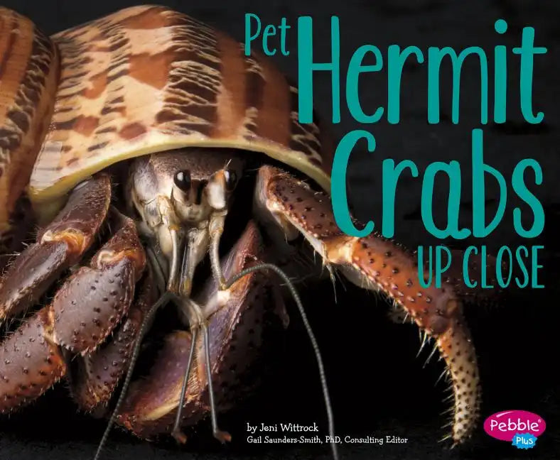 Pet Hermit Crabs Up Close - Paperback