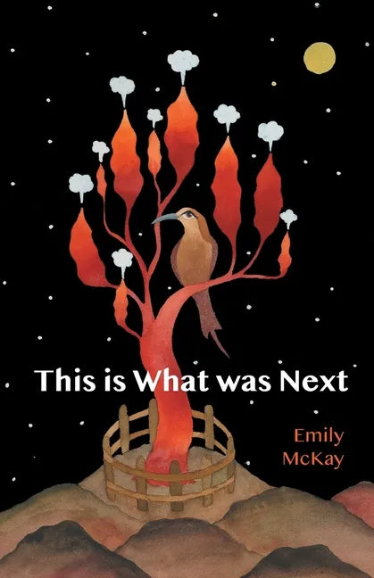 This is What was Next - Paperback