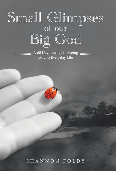 Small Glimpses of Our Big God: A 60 Day Journey to Seeing God in Everyday Life - Hardcover