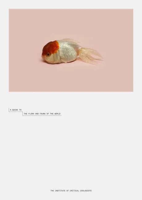 Robert Zhao Renhui: A Guide to the Flora and Fauna of the World: Steidl Book Award Asia 2017 - Hardcover