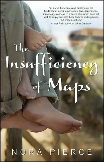 Insufficiency of Maps - Paperback