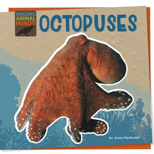 Octopuses - Paperback
