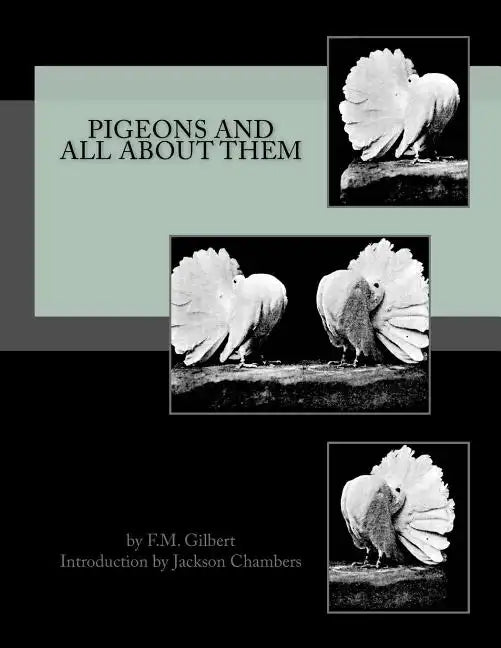 Pigeons and All About Them - Paperback