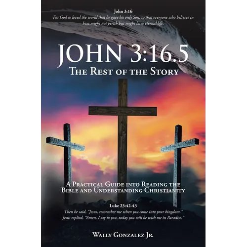 John 3: 16.5: The Rest of the Story: A Practical Guide into Reading the Bible and Understanding Christianity - Paperback