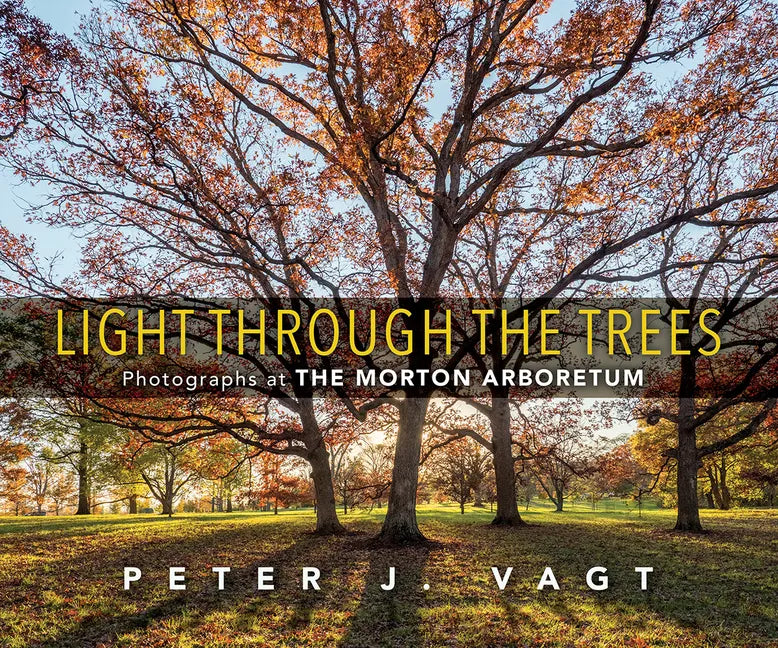 Light Through the Trees: Photographs at the Morton Arboretum - Hardcover