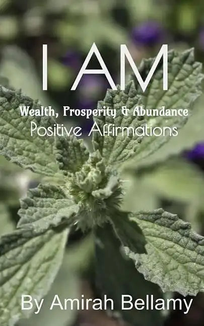 I Am Wealth, Prosperity & Abundance Positive Affirmations - Paperback