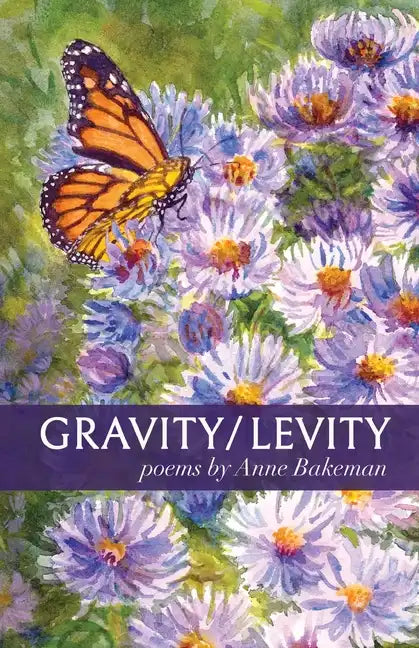 Gravity/Levity - Paperback