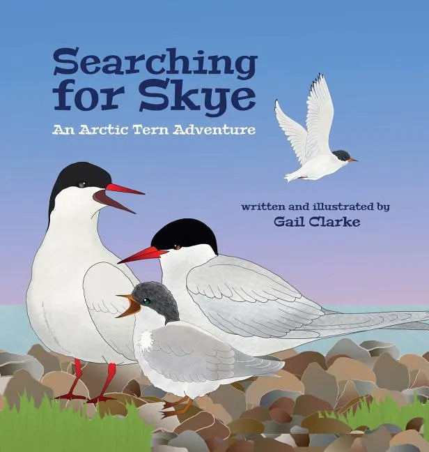 Searching for Skye: An Arctic Tern Adventure - Hardcover