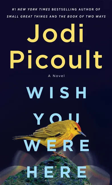 Wish You Were Here - Paperback