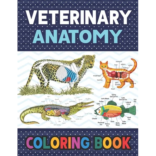 Veterinary Anatomy Coloring Book: Fun and Easy Veterinary Anatomy Coloring Book for Kids. The New Surprising Magnificent Learning Structure For Veteri - Paperback