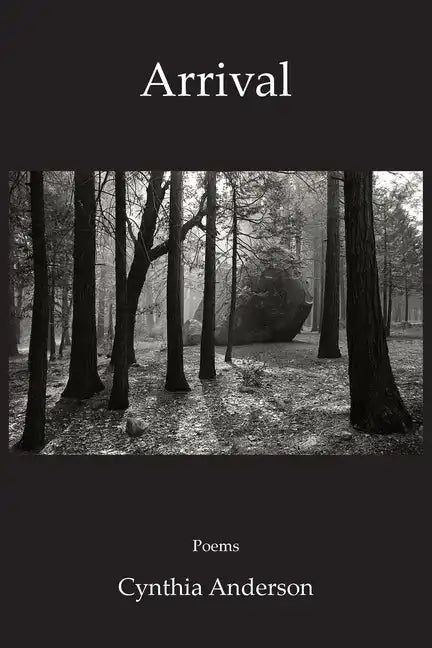 Arrival - Paperback