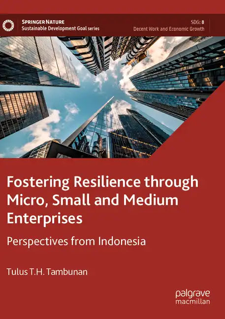 Fostering Resilience Through Micro, Small and Medium Enterprises: Perspectives from Indonesia - Paperback