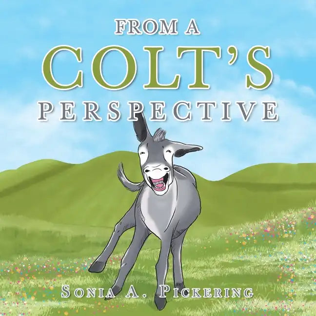 From a Colt's Perspective - Paperback