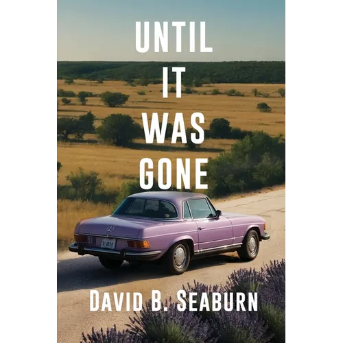 Until It Was Gone: A Contemporary Family Novel of Resilience and Hope - Paperback
