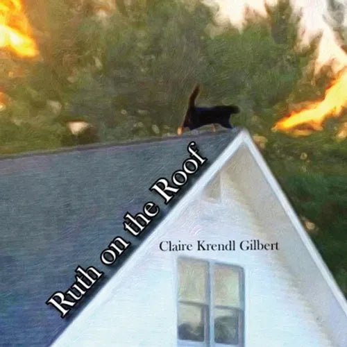 Ruth on the Roof - Paperback