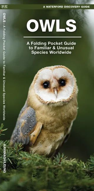 Owls: A Folding Pocket Guide to Familiar Species Worldwide - Paperback