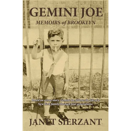 Gemini Joe: Memoirs of Brooklyn - Paperback
