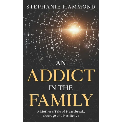 An Addict in the Family: A Mother's Tale of Heartbreak, Courage and Resilience - Paperback