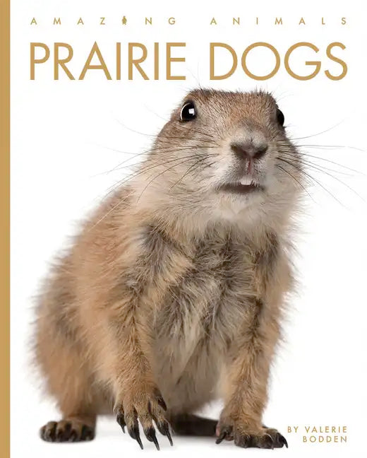 Prairie Dogs - Paperback