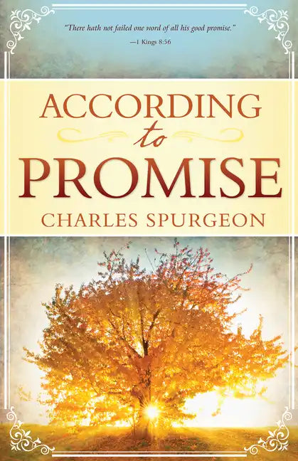 According to Promise - Paperback