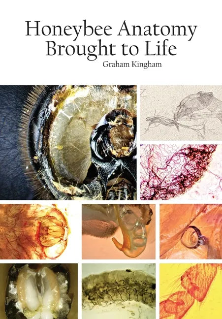 Honeybee Anatomy Brought to Life - Paperback