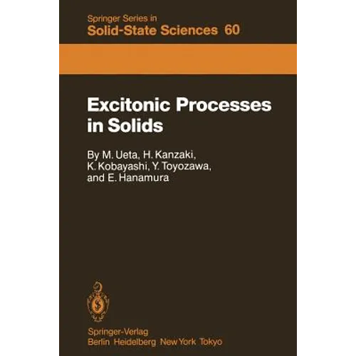 Excitonic Processes in Solids - Paperback