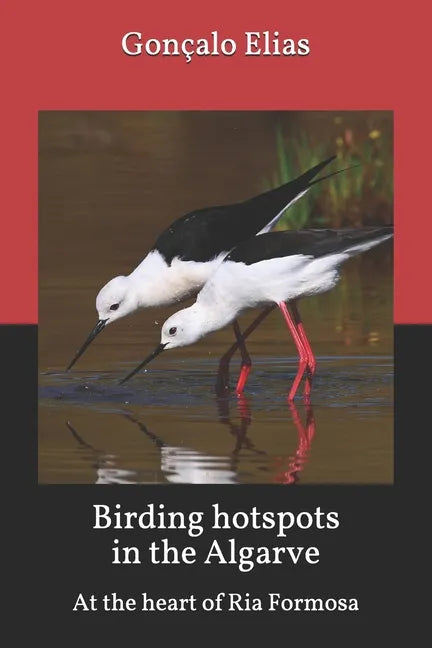 Birding hotspots in the Algarve: At the heart of Ria Formosa - Paperback