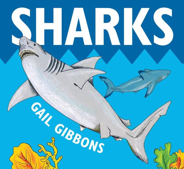 Sharks - Board Book