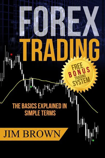 Forex Trading: The Basics Explained in Simple Terms - Paperback