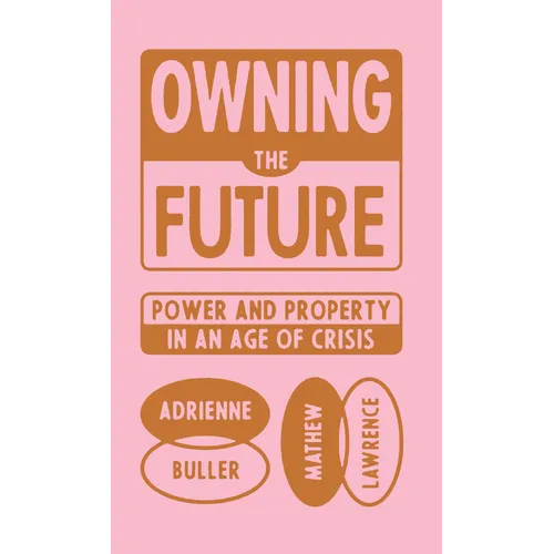 Owning the Future: Power and Property in an Age of Crisis - Hardcover