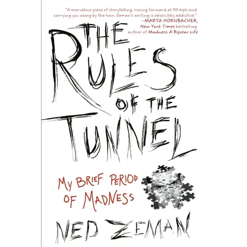 The Rules of the Tunnel: My Brief Period of Madness - Paperback