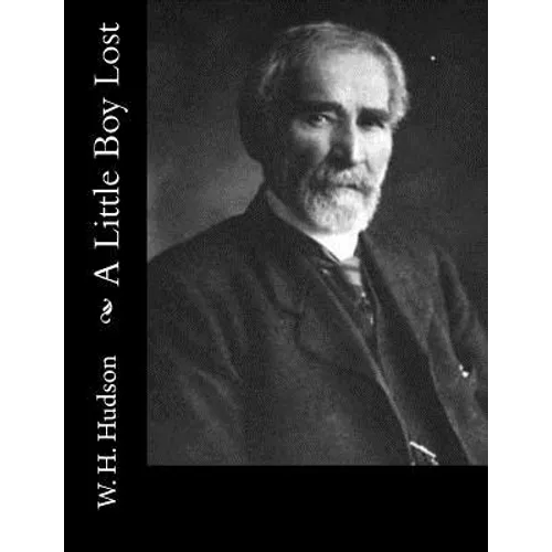 A Little Boy Lost - Paperback