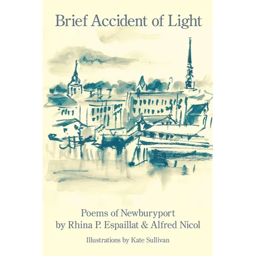 Brief Accident of Light - Paperback