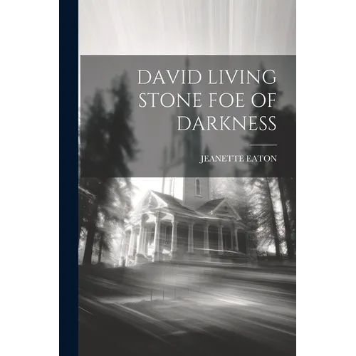 David Living Stone Foe of Darkness - Paperback