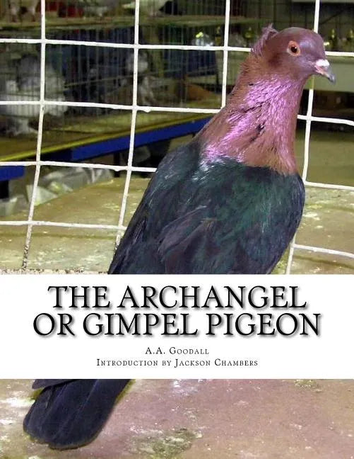 The Archangel or Gimpel Pigeon: Pigeon Breeds Book 8 - Paperback