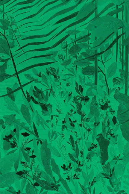 David Eisl: Green Screen Weeds and Dreaming Grids - Paperback