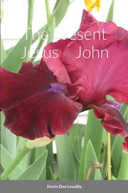 The Present Jesus John - Paperback
