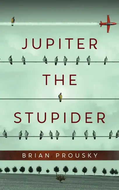 Jupiter the Stupider - Hardcover