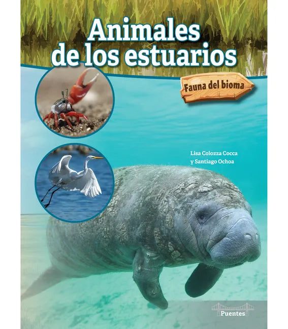 Animales de Los Estuarios: Estuary Animals - Hardcover