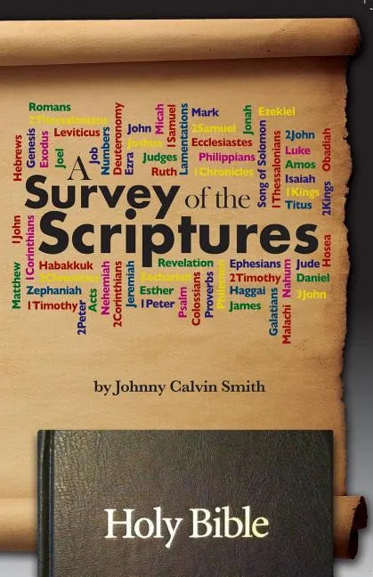 A Survey of the Scriptures - Paperback