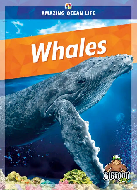 Whales - Hardcover