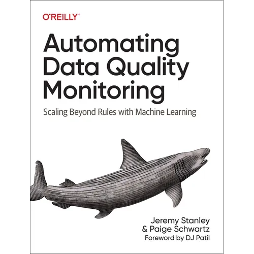 Automating Data Quality Monitoring: Scaling Beyond Rules with Machine Learning - Paperback
