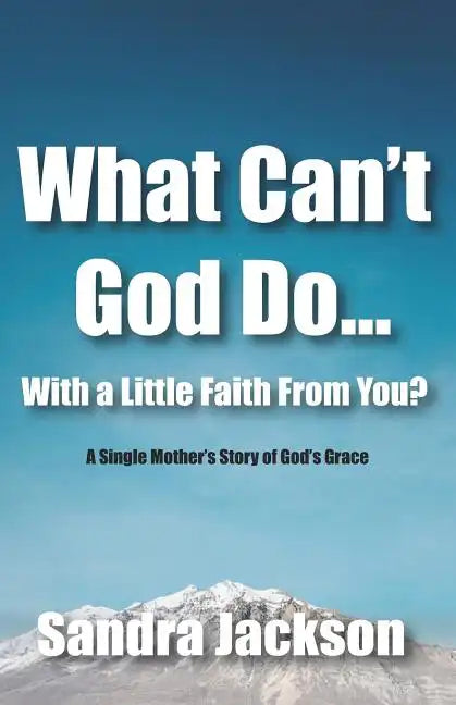 What Can't God Do Wiht a Little Faith From You: A Single Mother's Story of God's Grace - Paperback