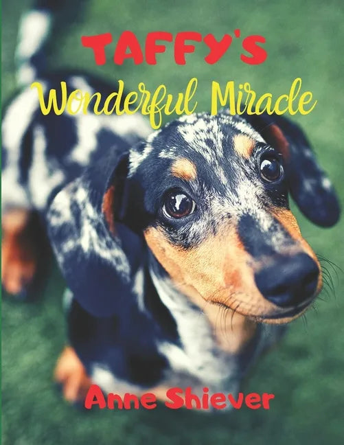 Taffy's Wonderful Miracle Story: AN EASY READER CHILDREN'S STORY & COLORING BOOK about a Silver Dapple Dachshund's adventures and a great miracle too! - Paperback