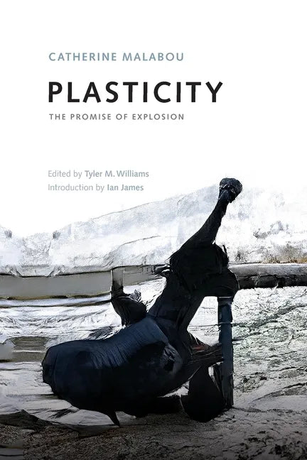 Plasticity: The Promise of Explosion - Paperback
