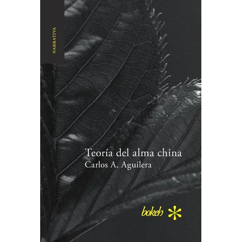 Teoría del alma china - Paperback