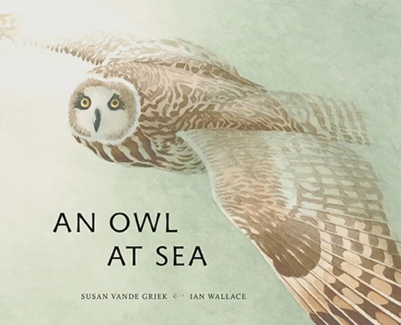 An Owl at Sea - Hardcover