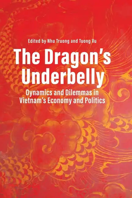 The Dragon's Underbelly: Dynamics and Dilemmas in Vietnam's Economy and Politics - Paperback